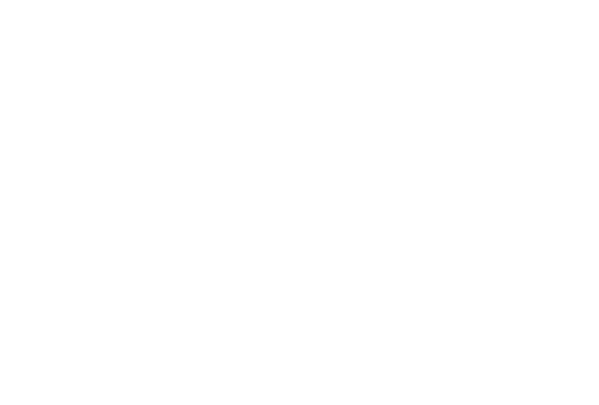 STYLE COLLECTION