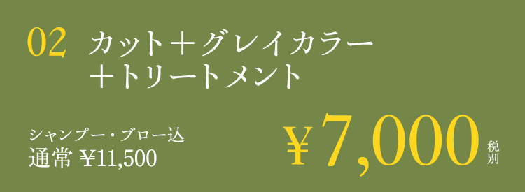 カット＋グレイカラー＋トリートメント