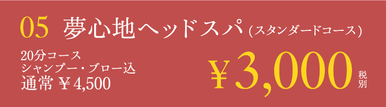 夢心地ヘッドスパ(スタンダードコース)