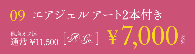 エアジェル アート2本付き