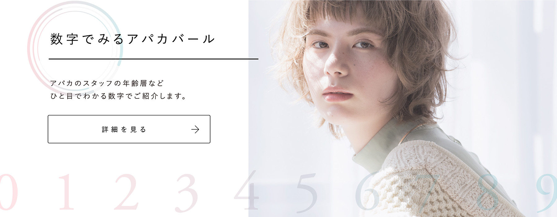 数字で見るアパカバール